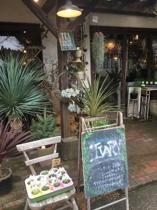 アイボリー・flower・and・cafe・花空間のクチコミ写真2