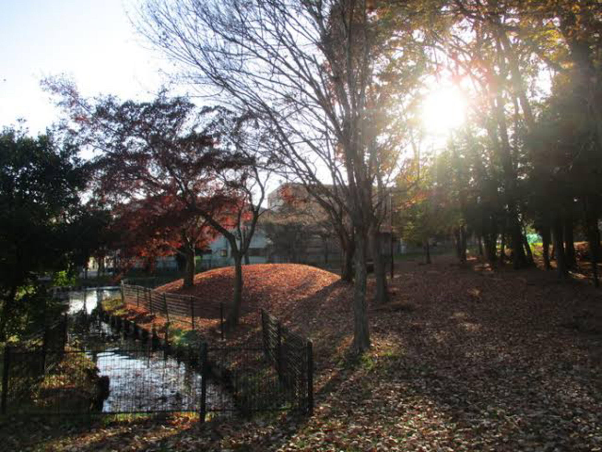 西川田公園の代表写真5