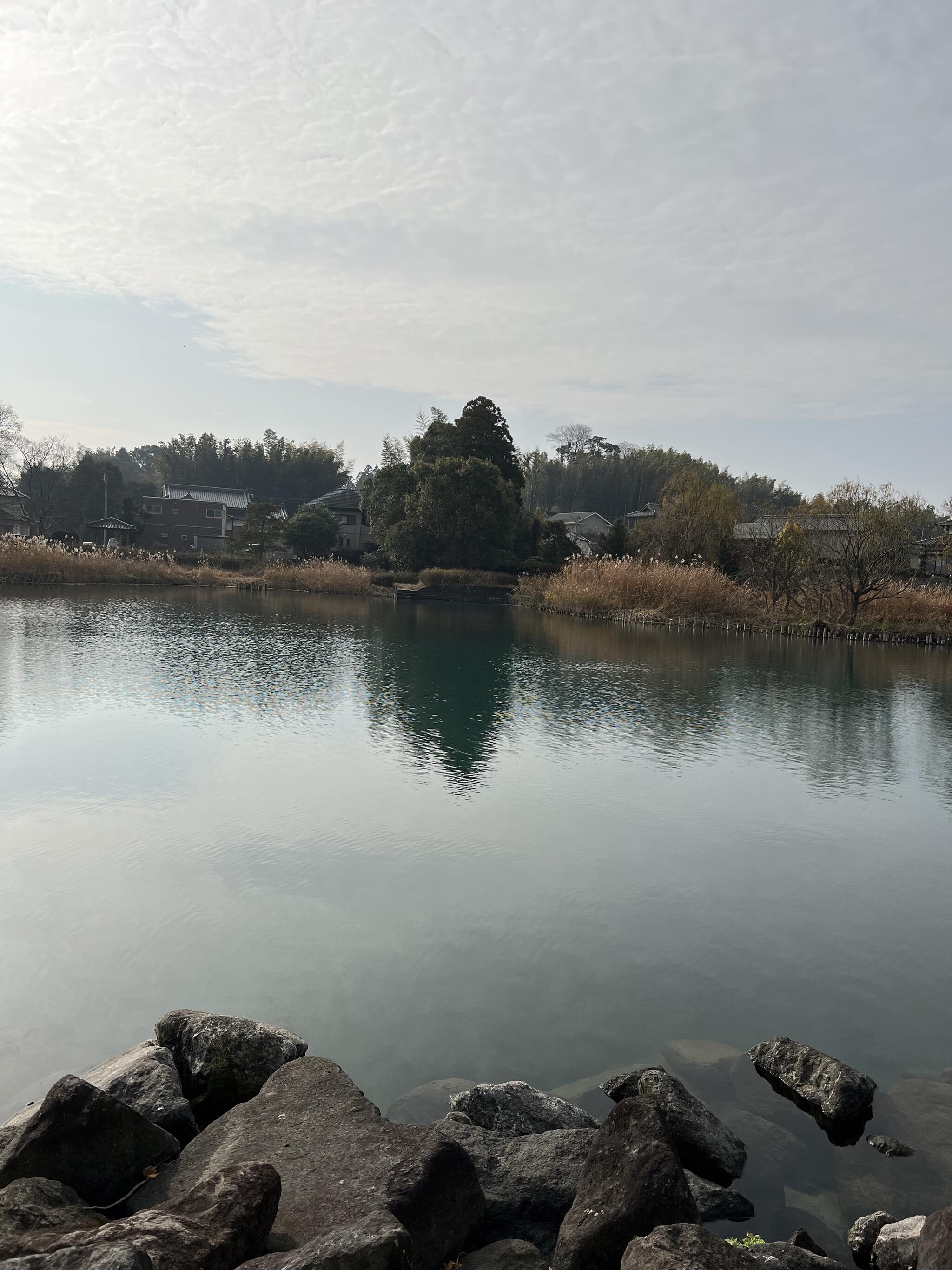 熊本の写真。浮島神社（カップル&夫婦のための） - グラフィック