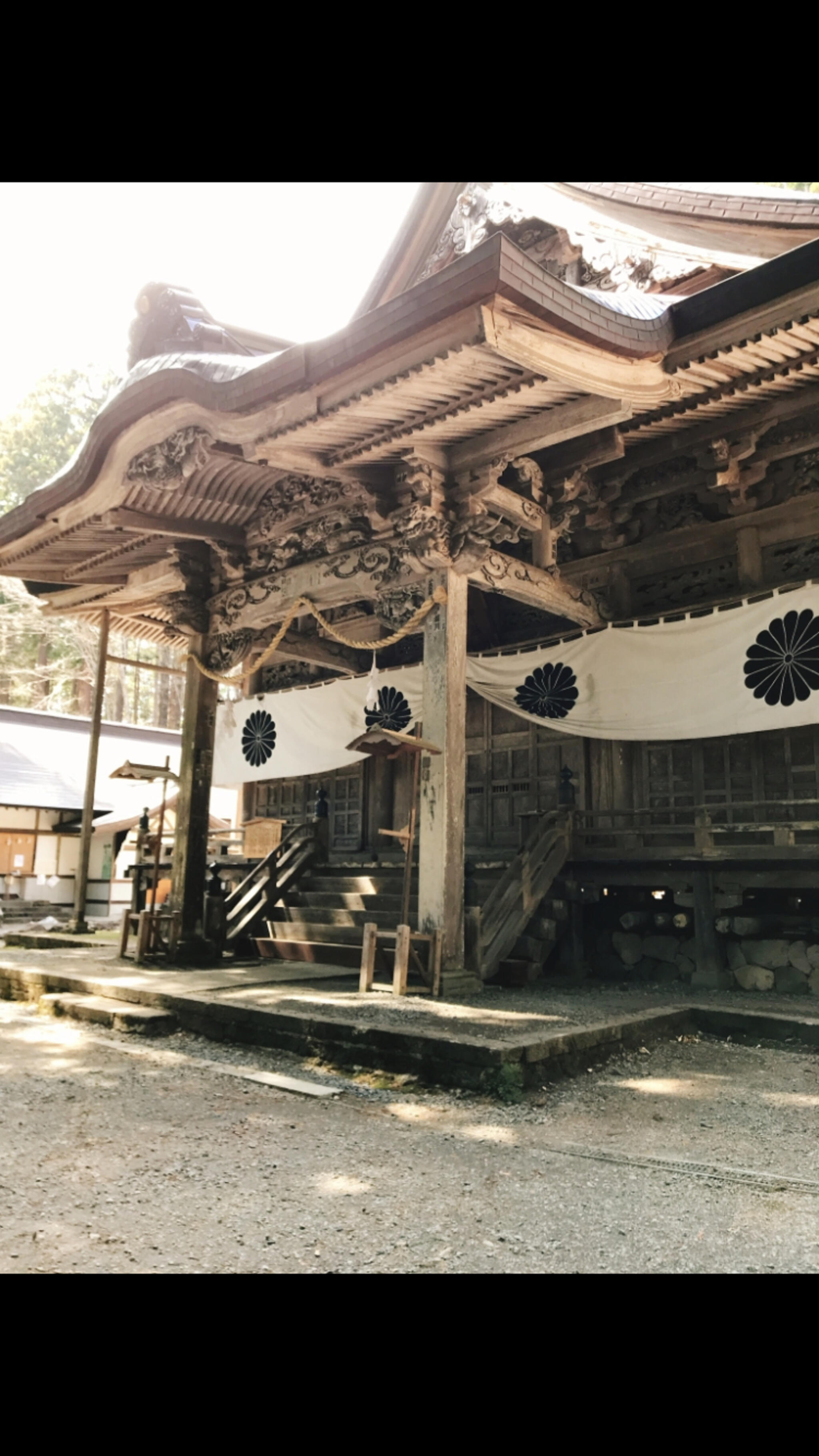 戸隠神社 中社の代表写真1