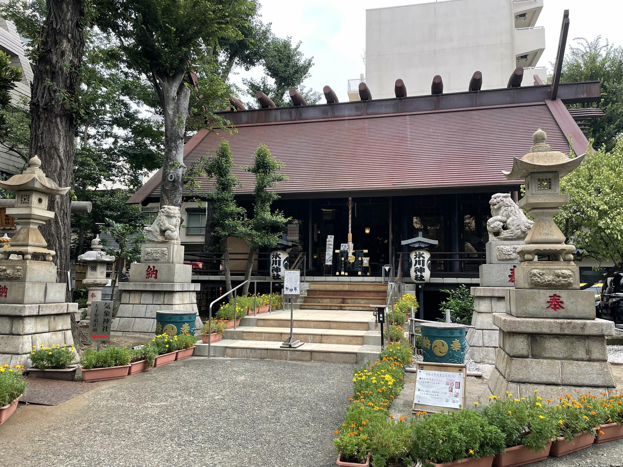 氷川神社の代表写真9