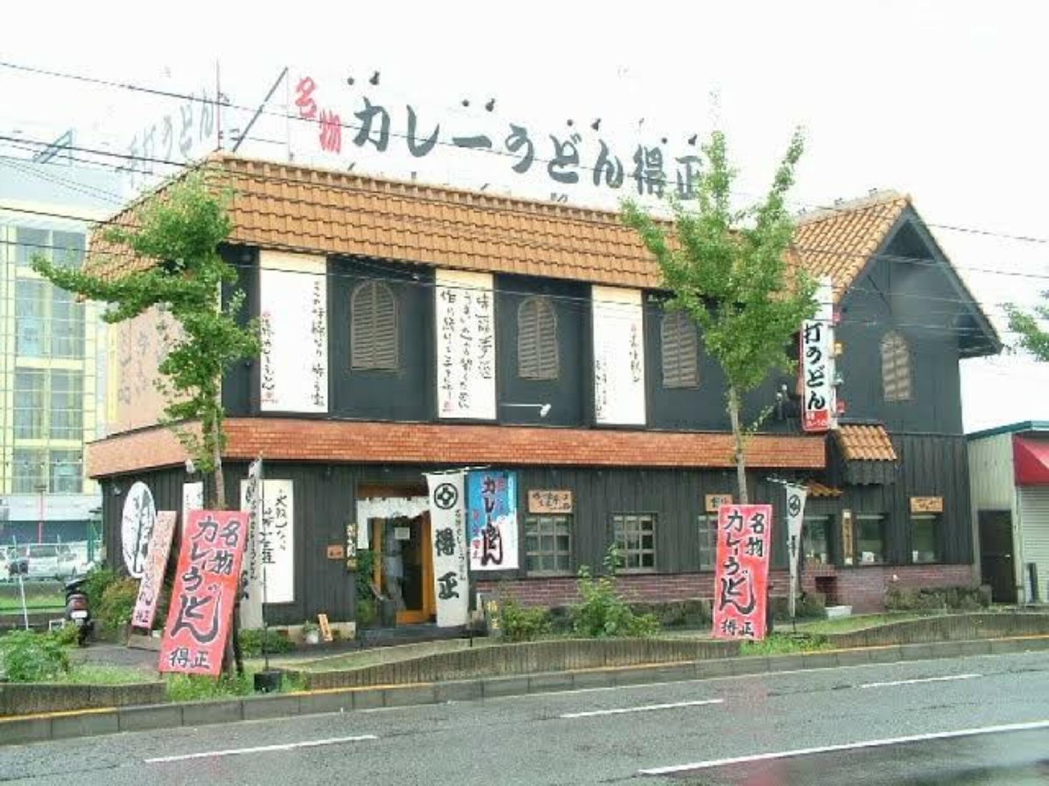 名物カレーうどん得正 中央環状線堺店の代表写真2