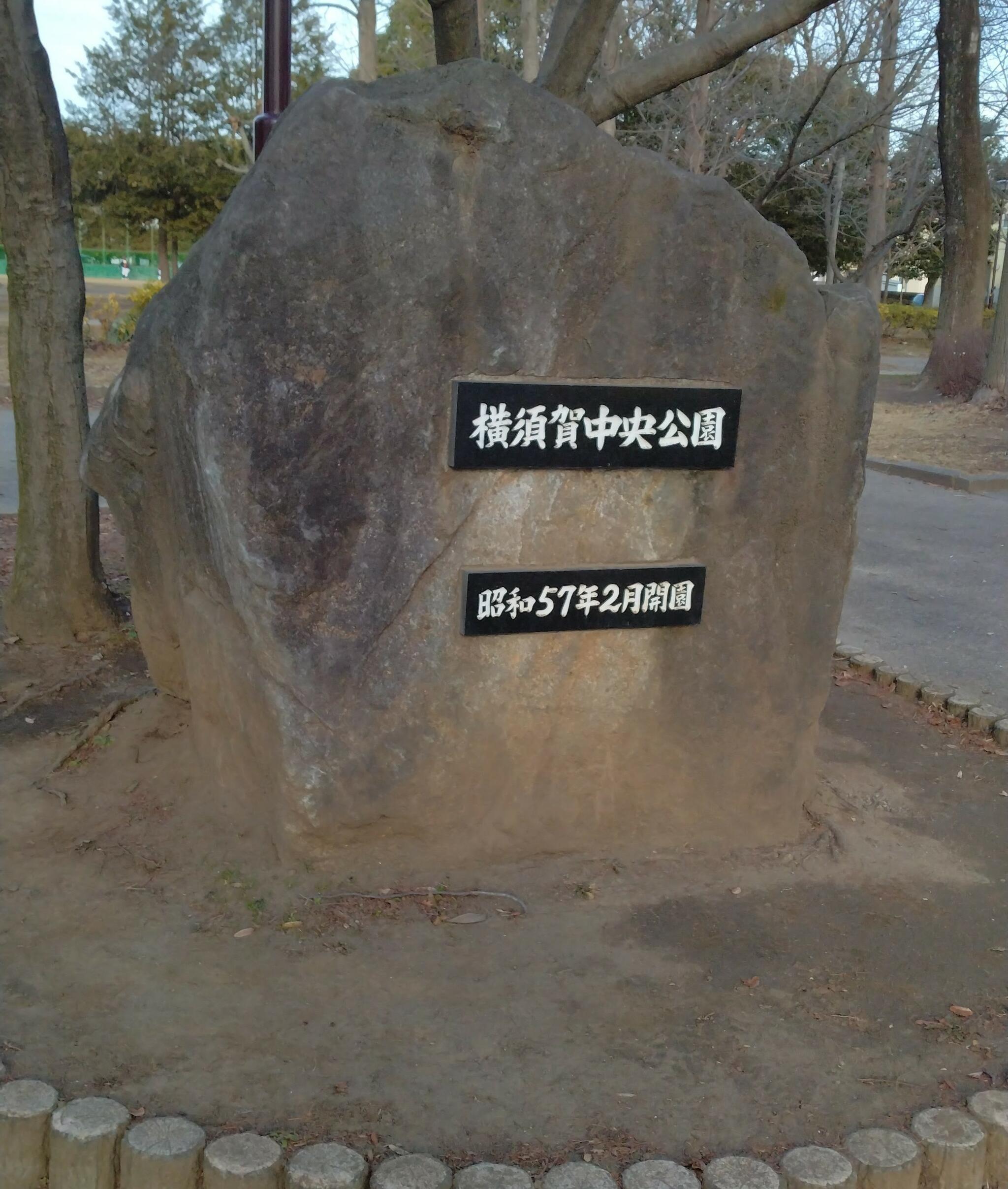 横須賀中央公園の代表写真8