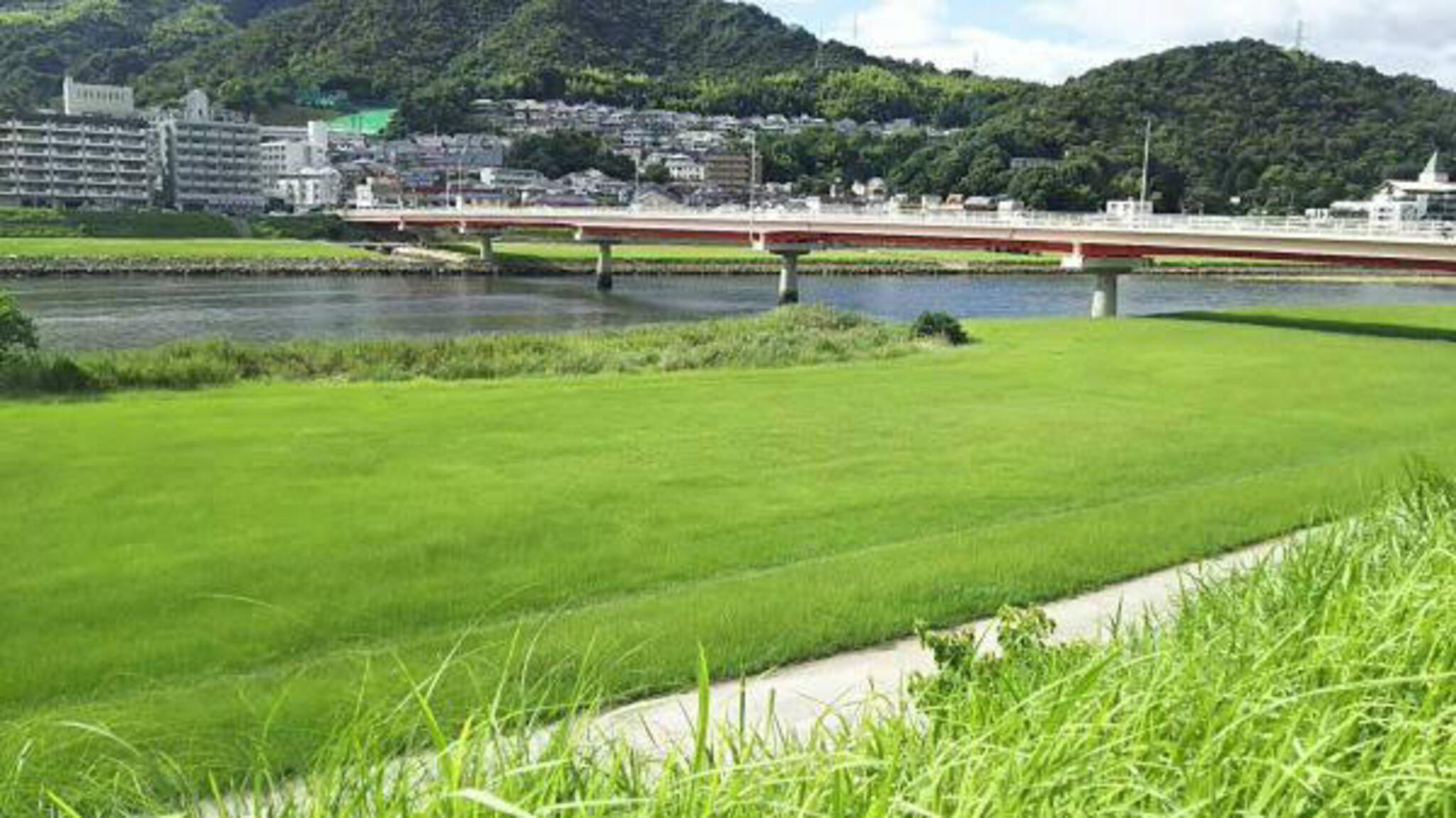 太田川緑地の代表写真1