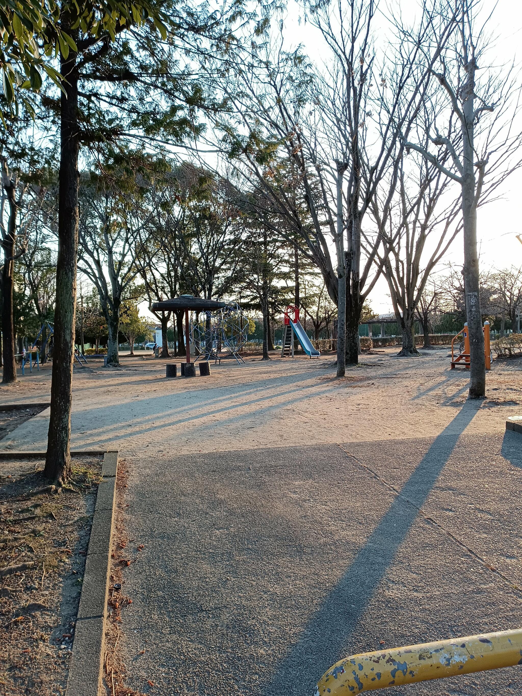 新松戸南公園の代表写真2