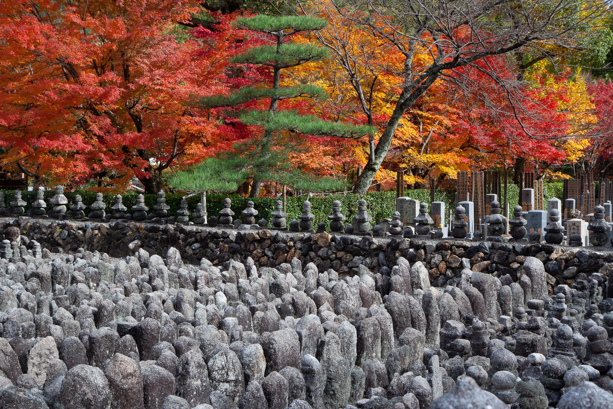 あだし野念仏寺 - 京都市右京区嵯峨鳥居本化野町寺院 | Yahoo!マップ