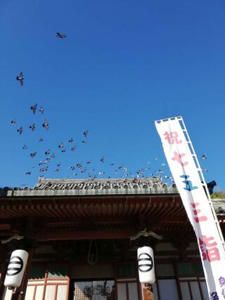 浄土寺のクチコミ写真1