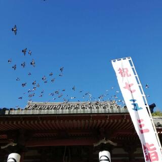 浄土寺の写真18