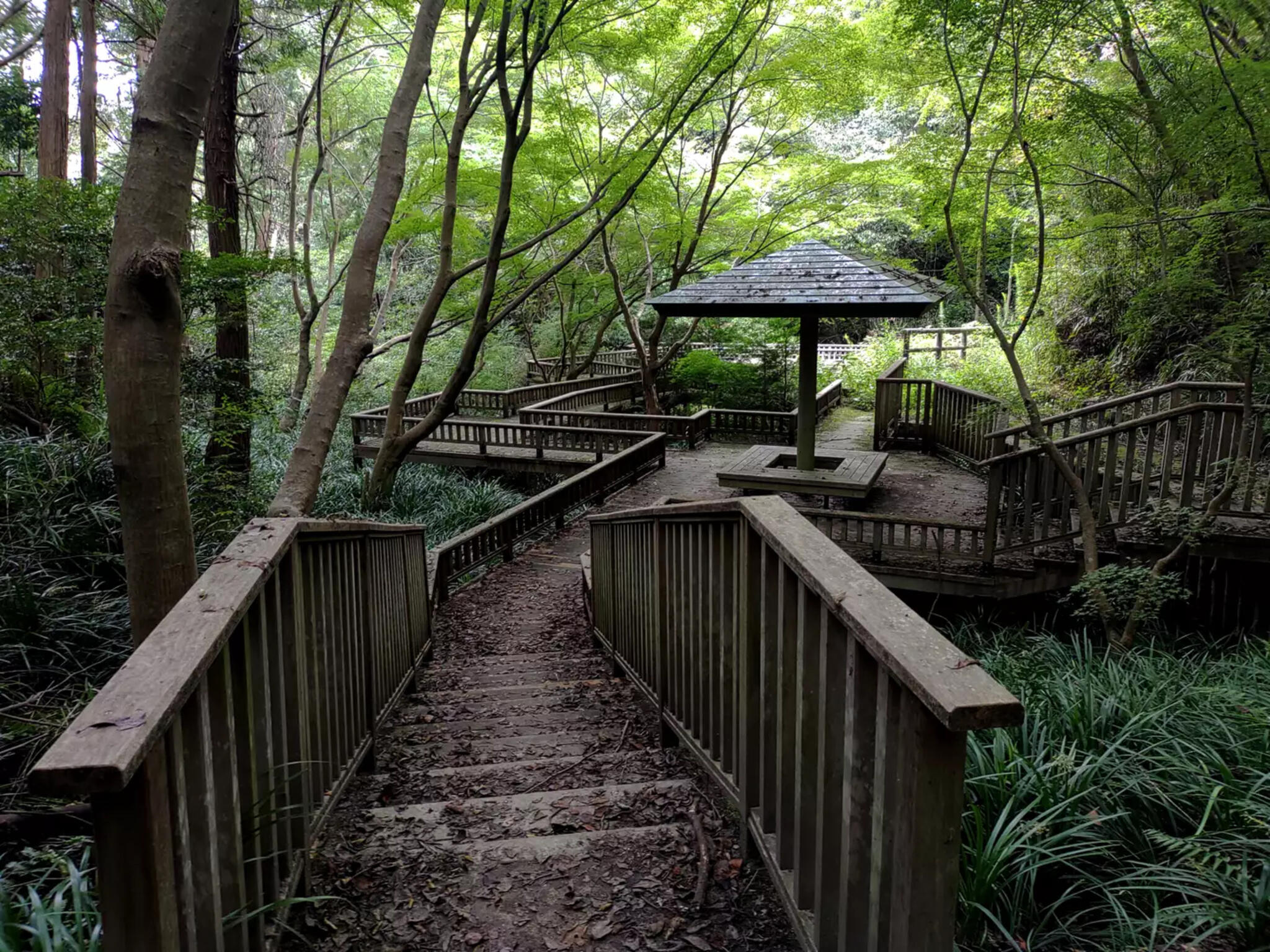 松尾寺公園の代表写真2