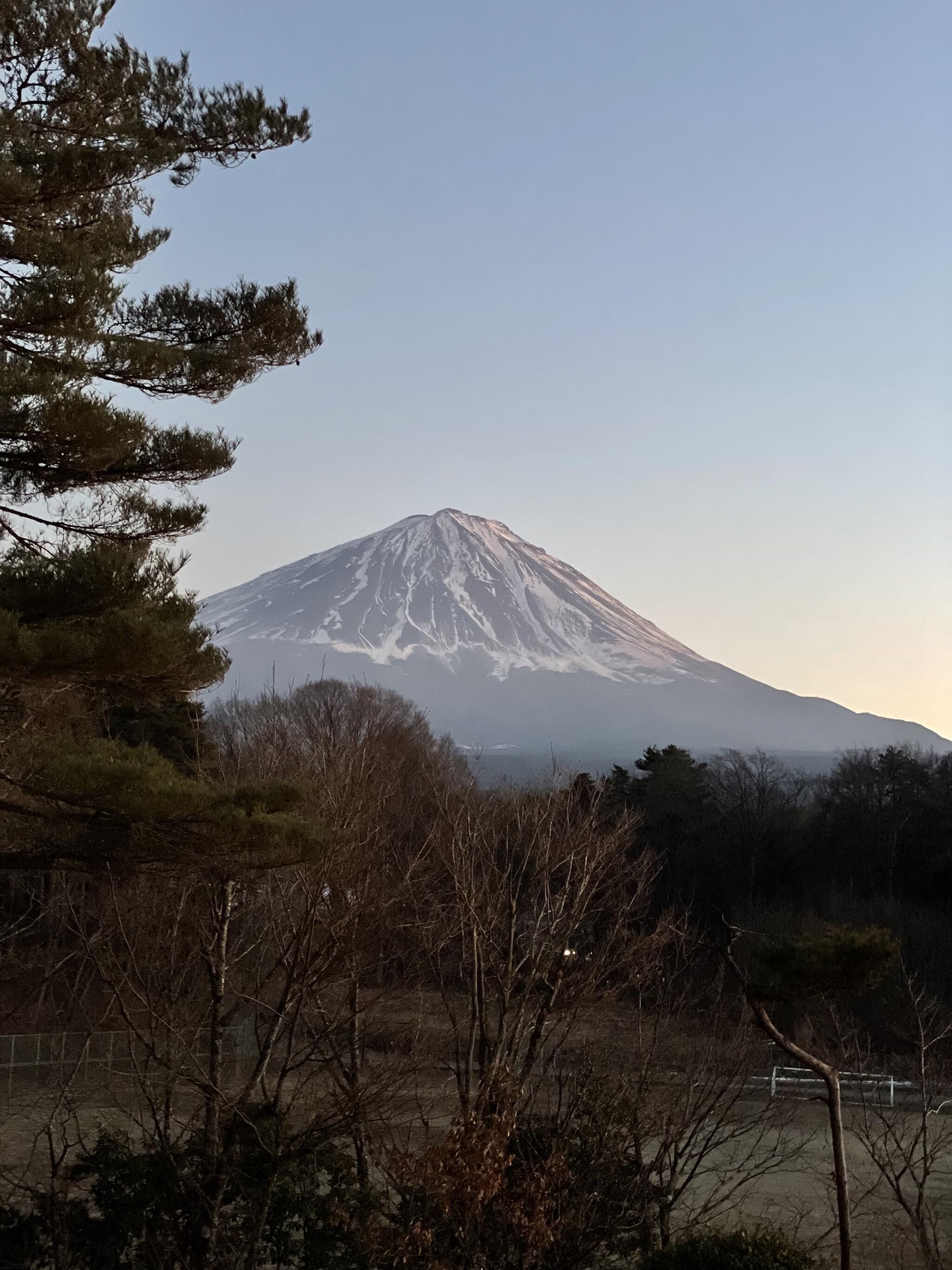 富士眺望の湯 ゆらりの代表写真10