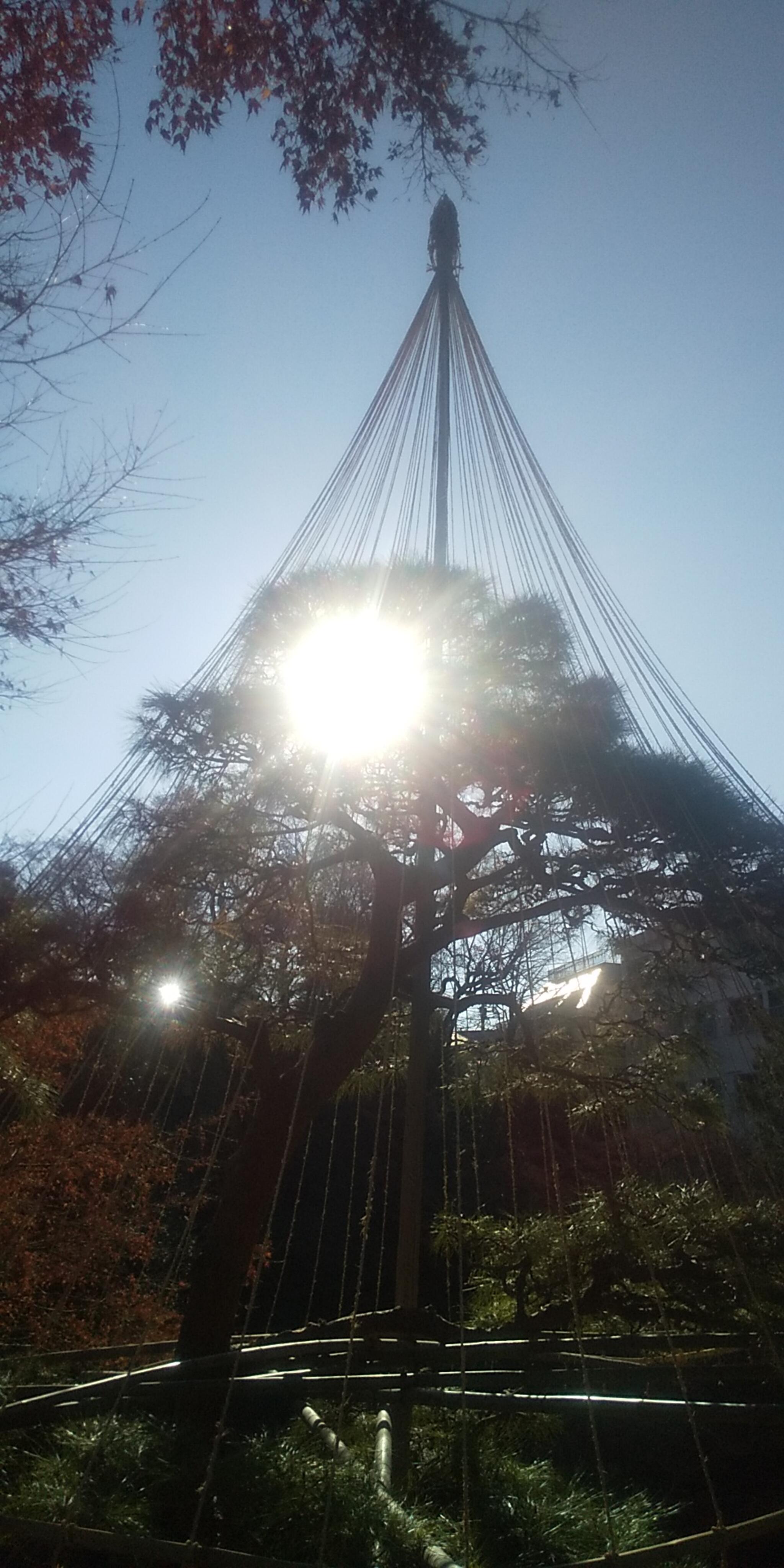 池田山公園の代表写真1