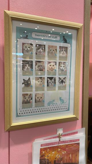 猫カフェ MOCHA イオンモール大日店のクチコミ写真2