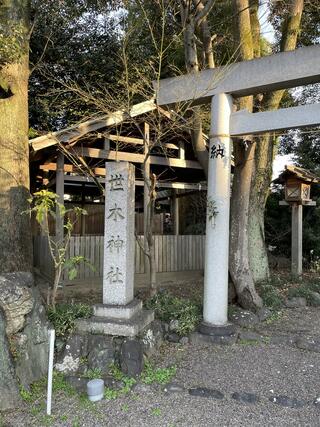 世木神社のクチコミ写真1
