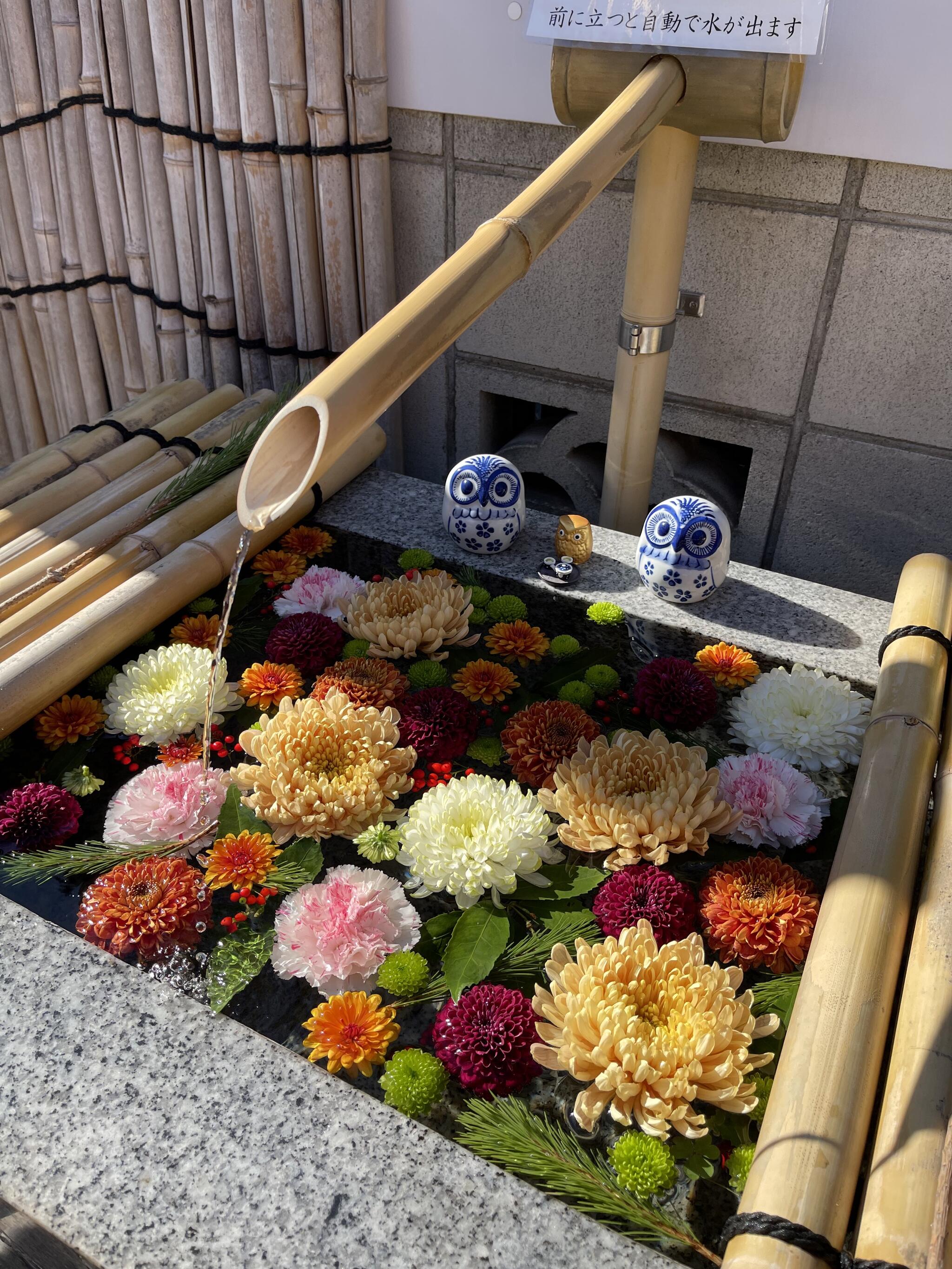 小石川大神宮の代表写真7