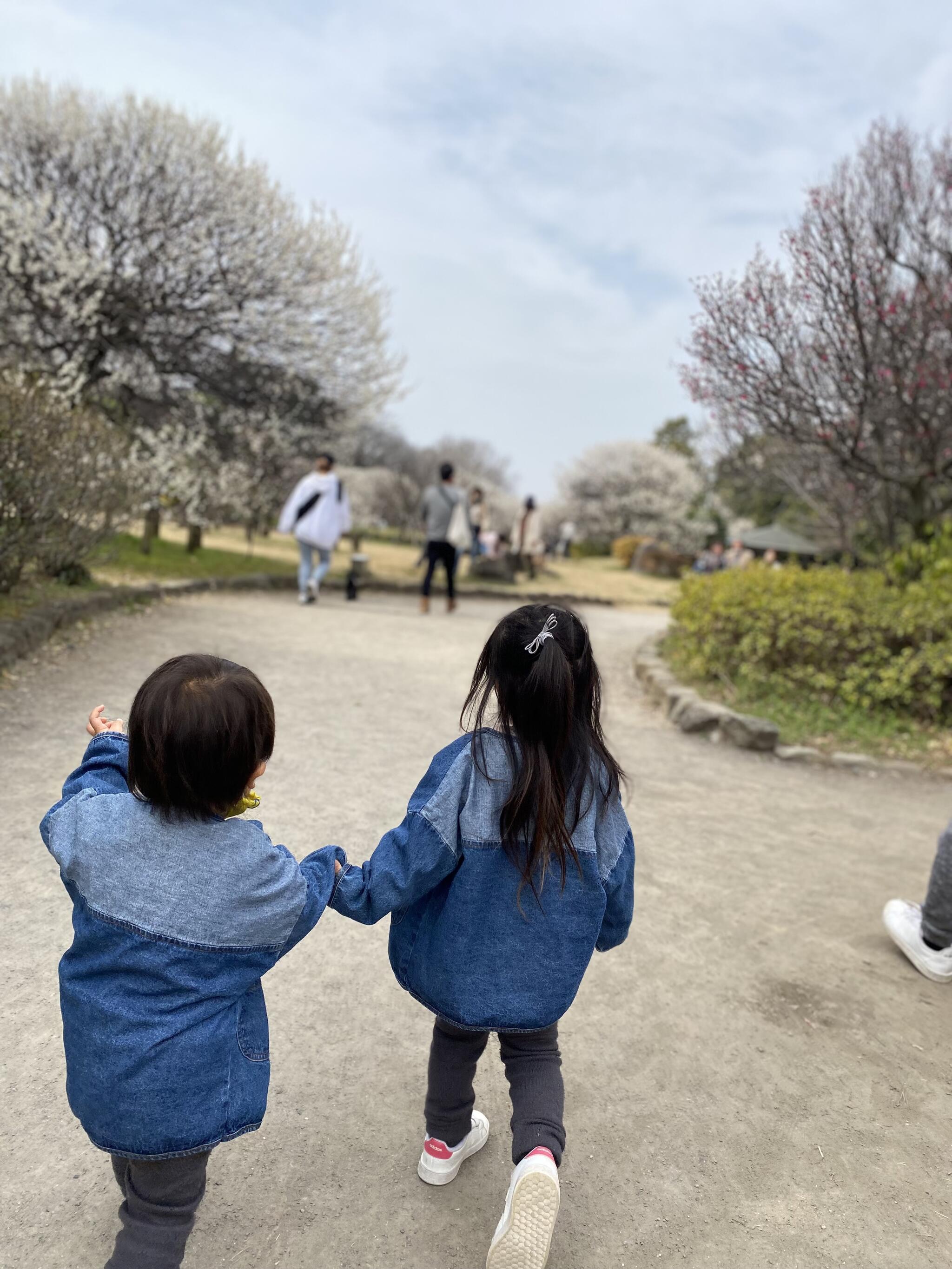 越谷梅林公園の代表写真10