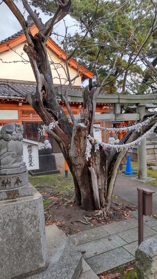 湊稲荷神社のクチコミ写真1
