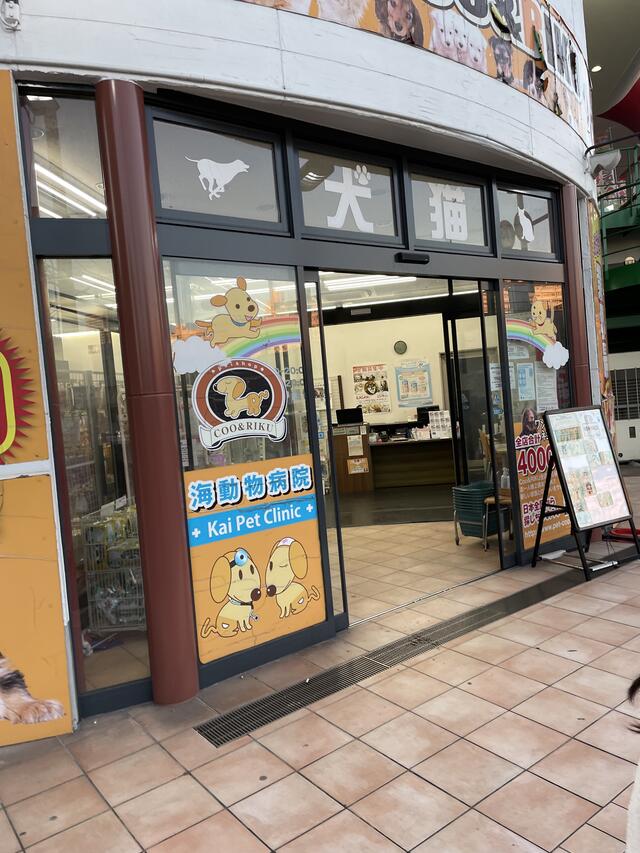 川崎 銀柳街 カフェ コレクション ペット