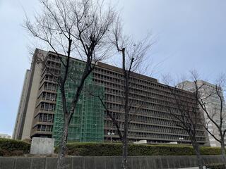 大阪家庭裁判所のクチコミ写真1
