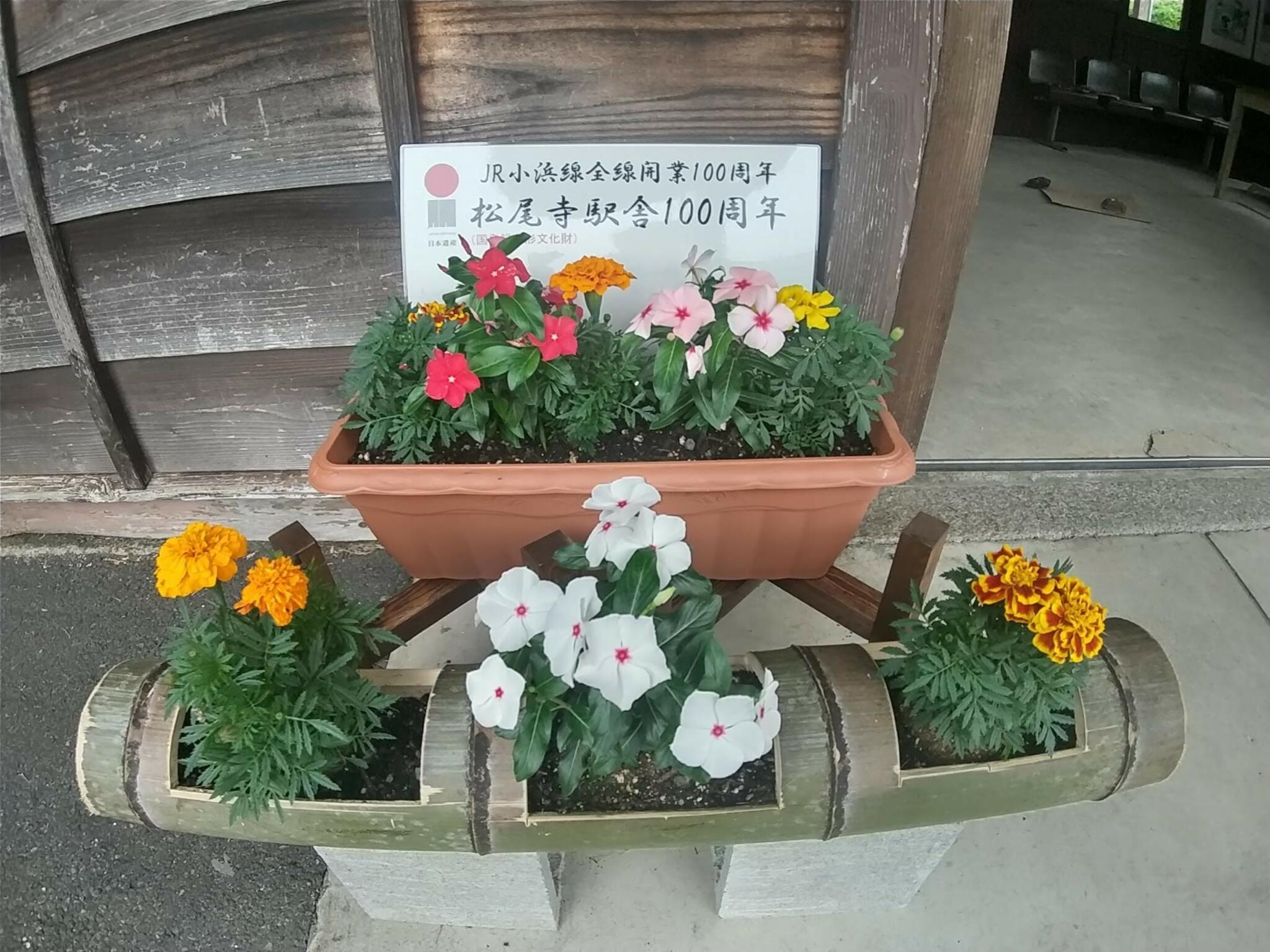 松尾寺の代表写真8