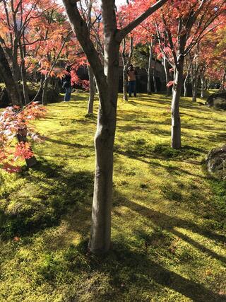 箱根美術館のクチコミ写真1