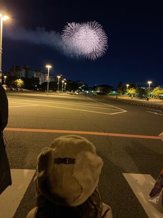 東京ディズニーランド 駐車場Tのクチコミ写真1