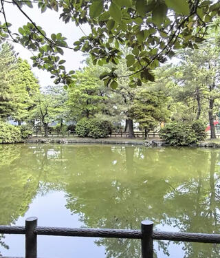 松葉公園のクチコミ写真1