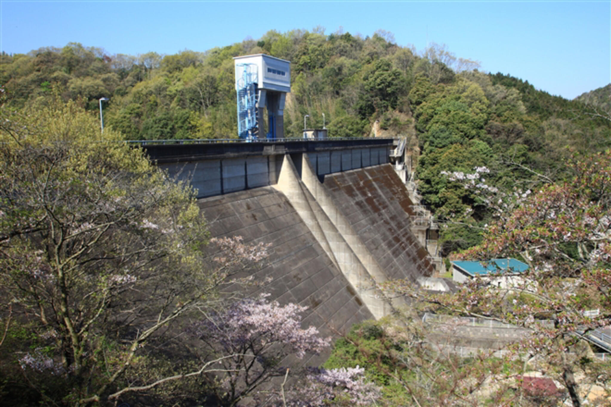 前山ダムの代表写真7