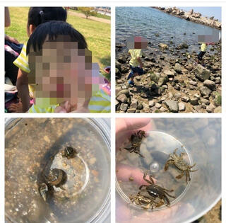 せんなん里海公園のクチコミ写真1