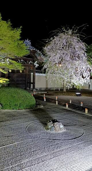 妙顕寺のクチコミ写真1