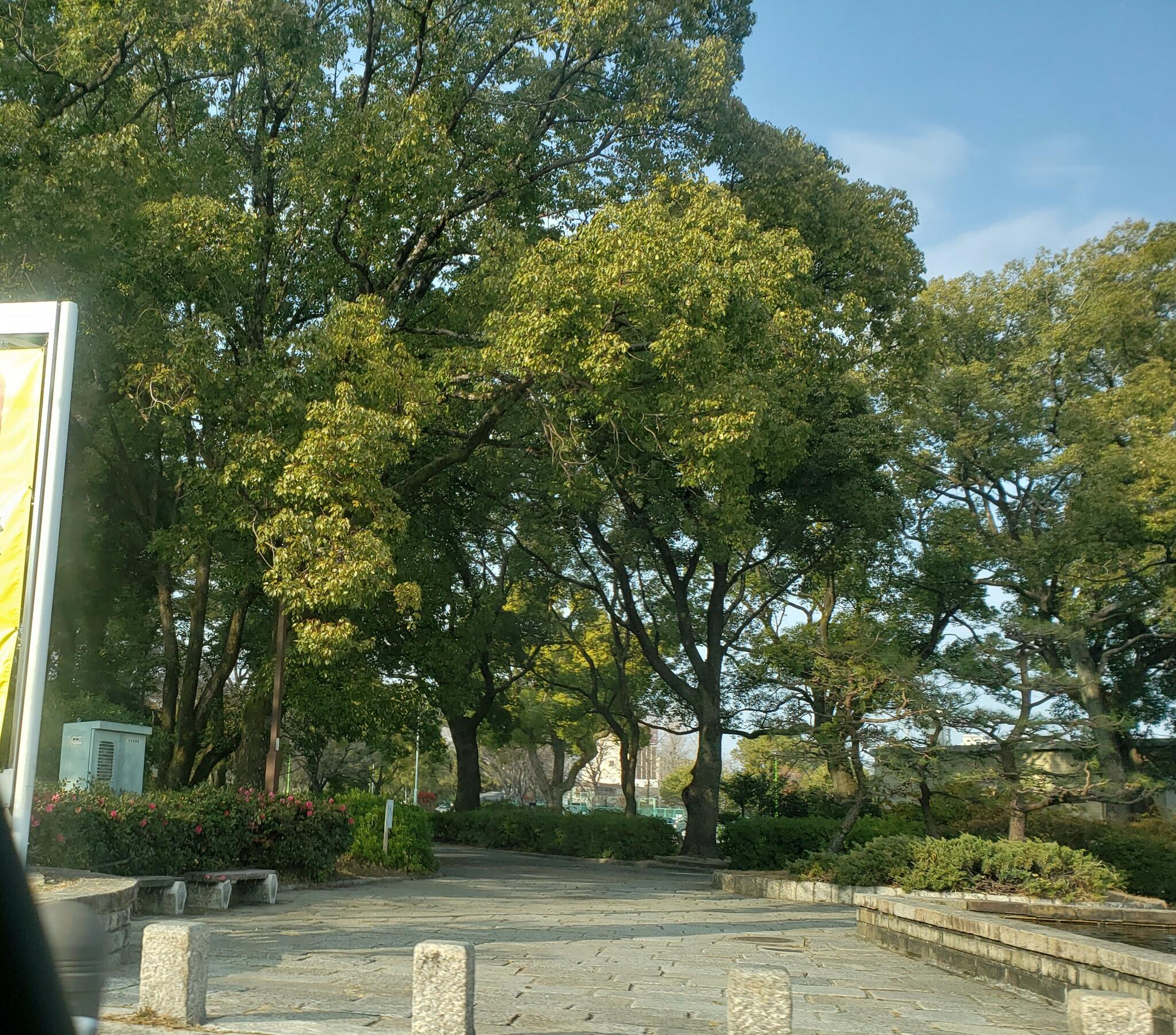 松葉公園の代表写真9