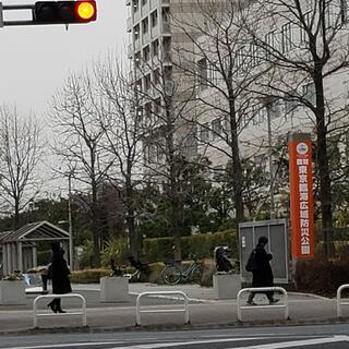 東京臨海広域防災公園の写真1