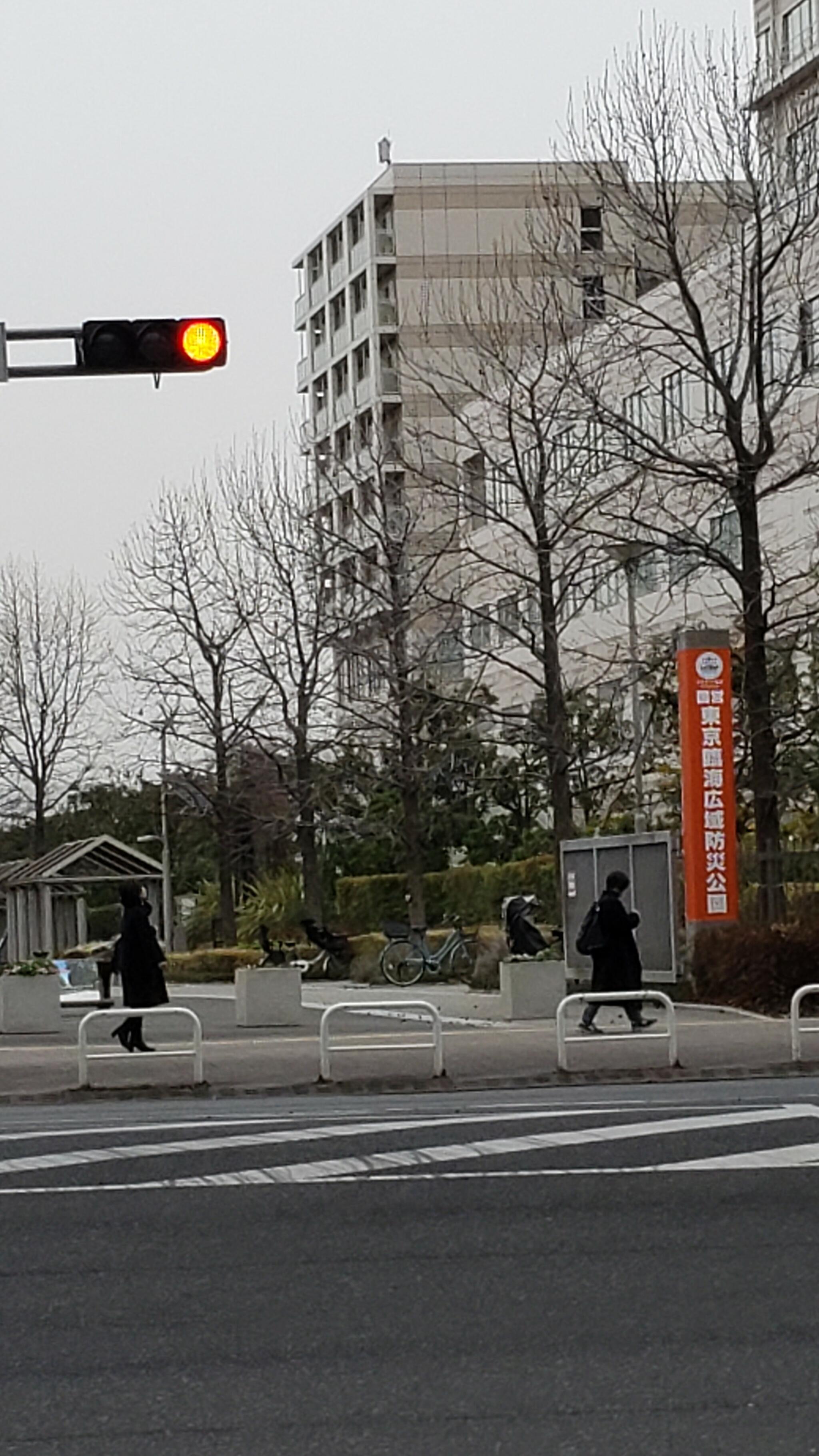 東京臨海広域防災公園の代表写真1