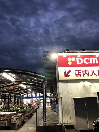 DCM 泉南店のクチコミ写真1