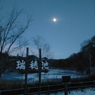 道立自然公園野幌森林公園のクチコミ写真2