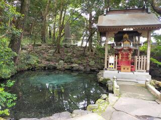 泉神社のクチコミ写真1