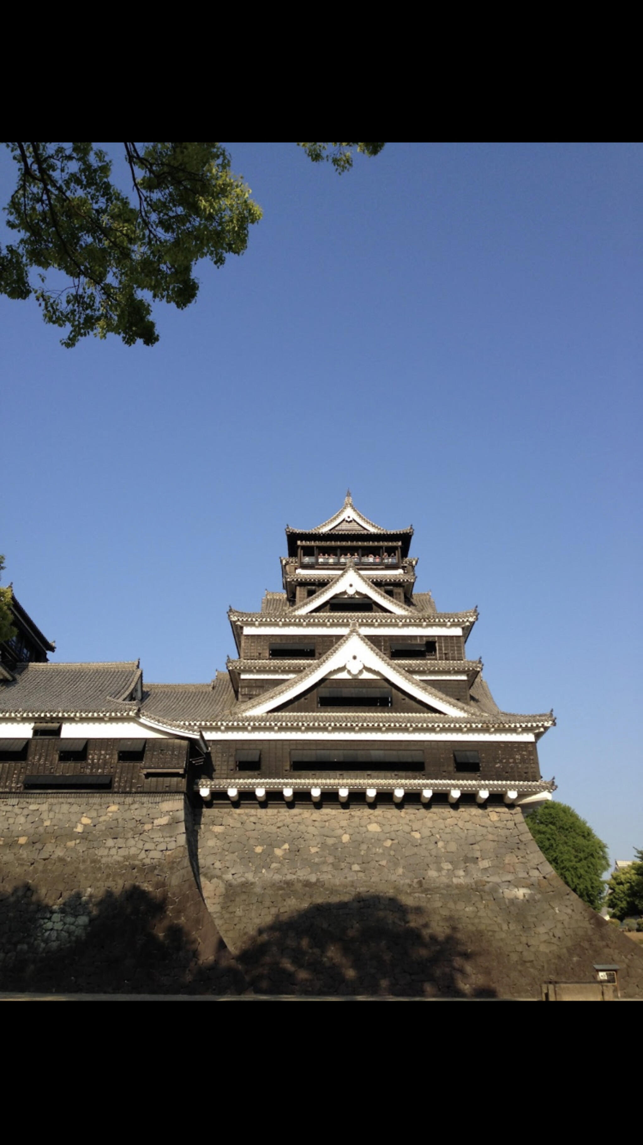 熊本城の代表写真7