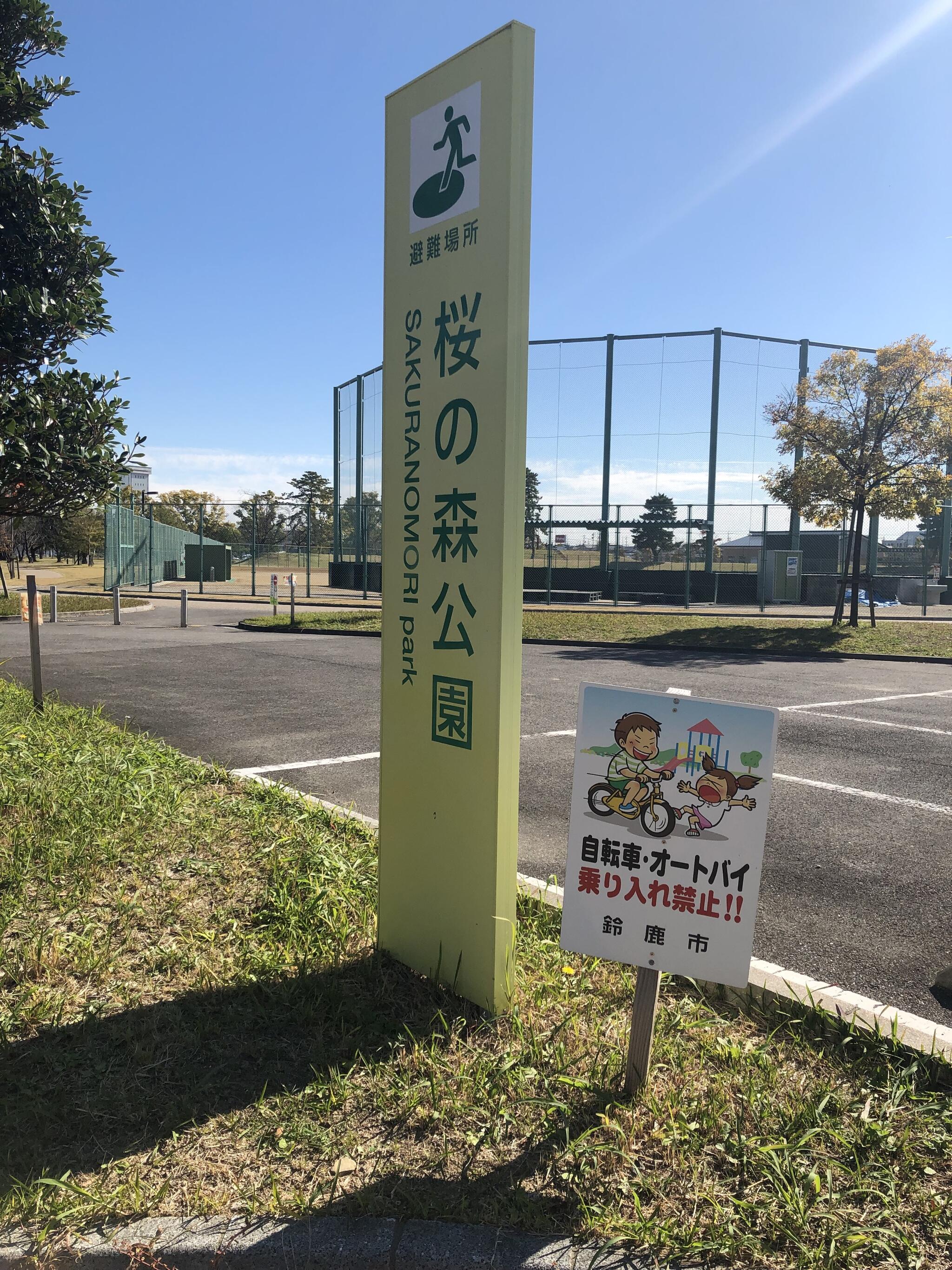 桜の森公園の代表写真10