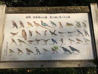 枚岡公園のクチコミ写真1