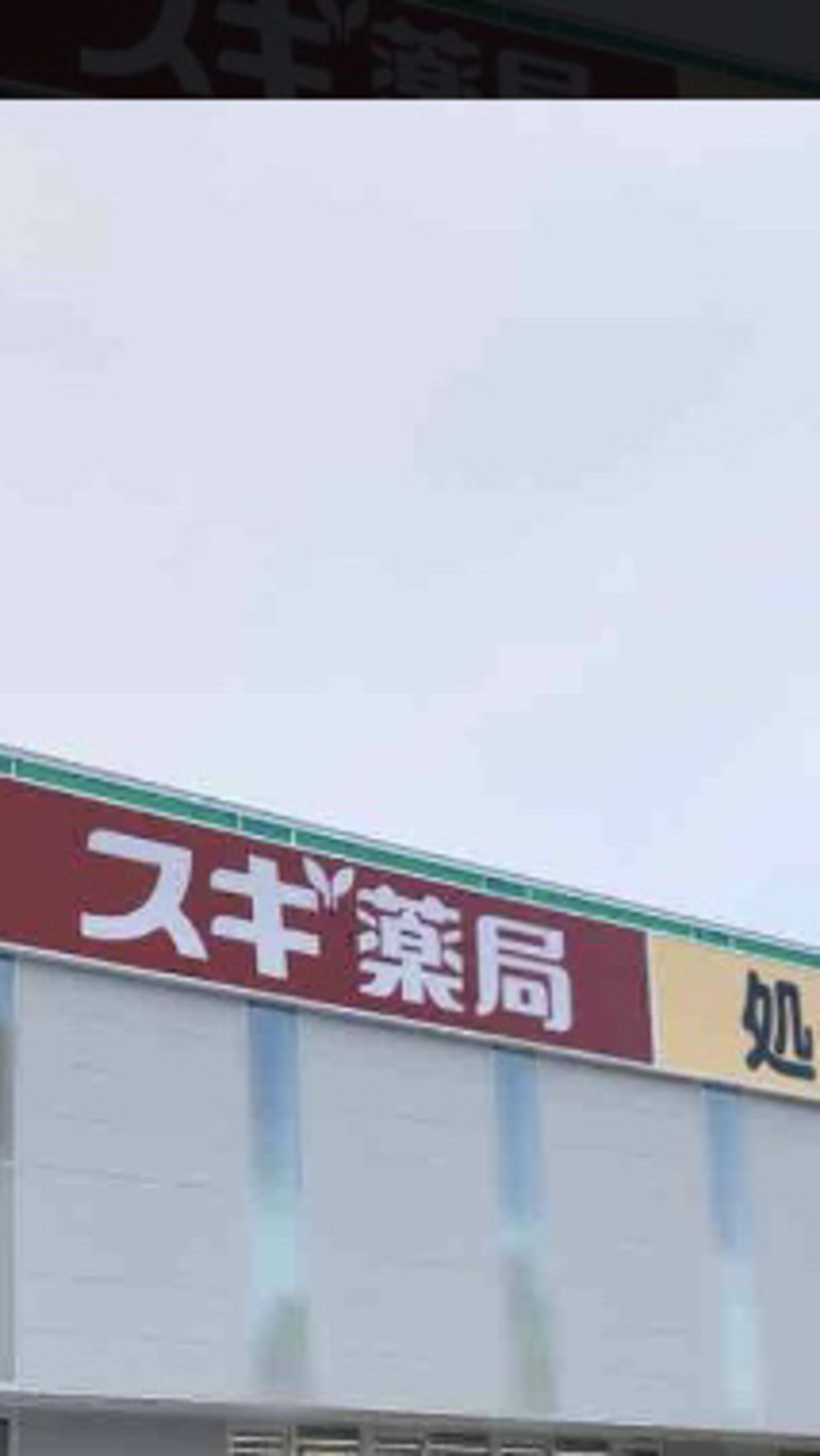 スギ薬局 金沢駅西店の代表写真5