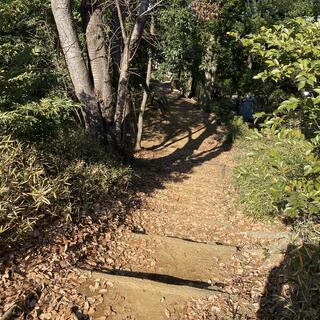 久良岐公園の写真22