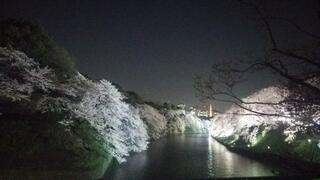 千鳥ヶ淵公園のクチコミ写真1