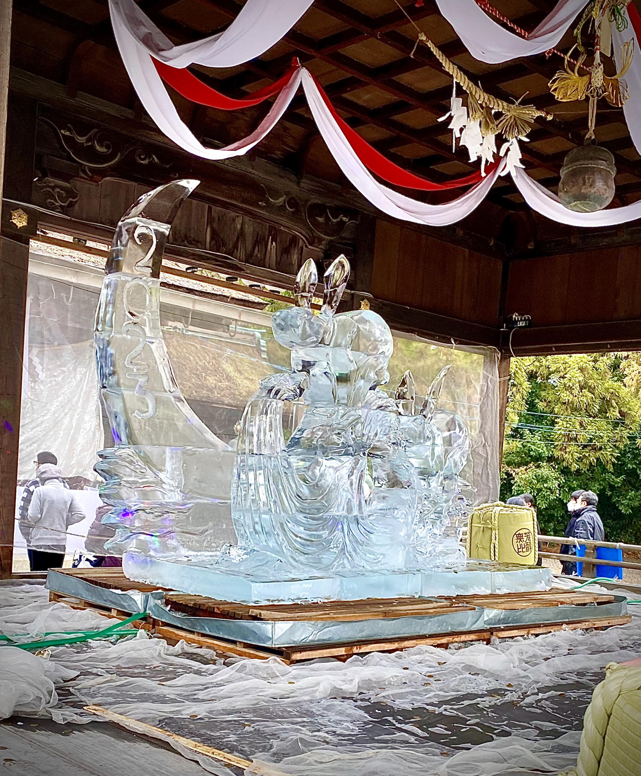 長浜八幡宮放生池の代表写真1