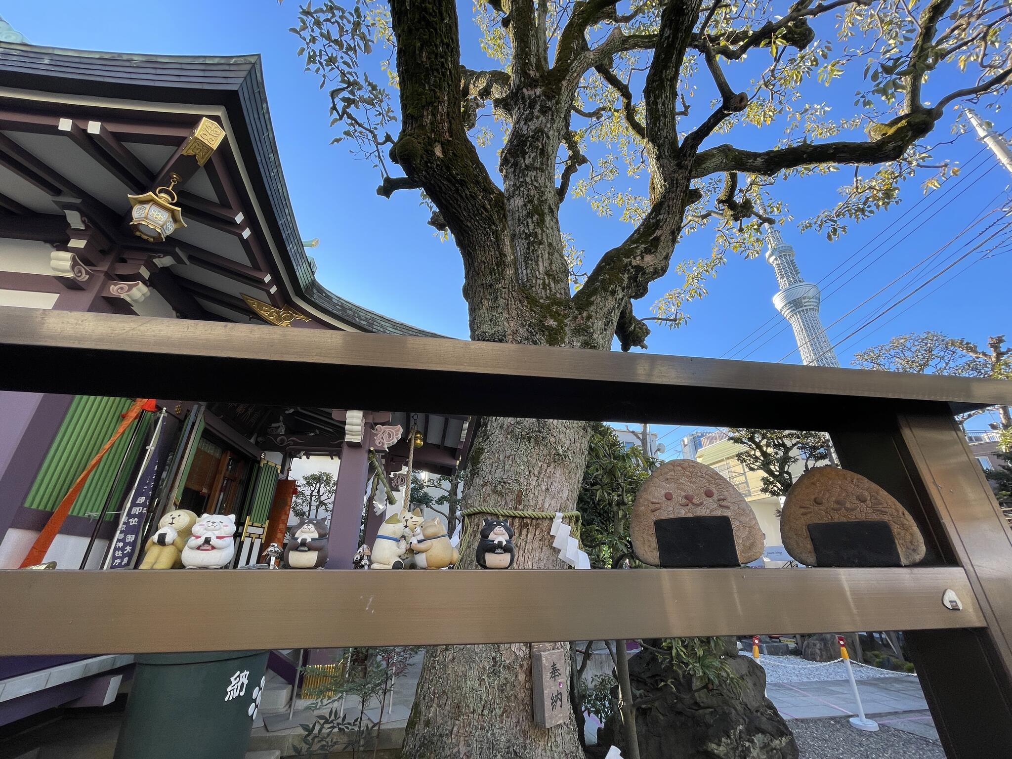 高木神社の代表写真8