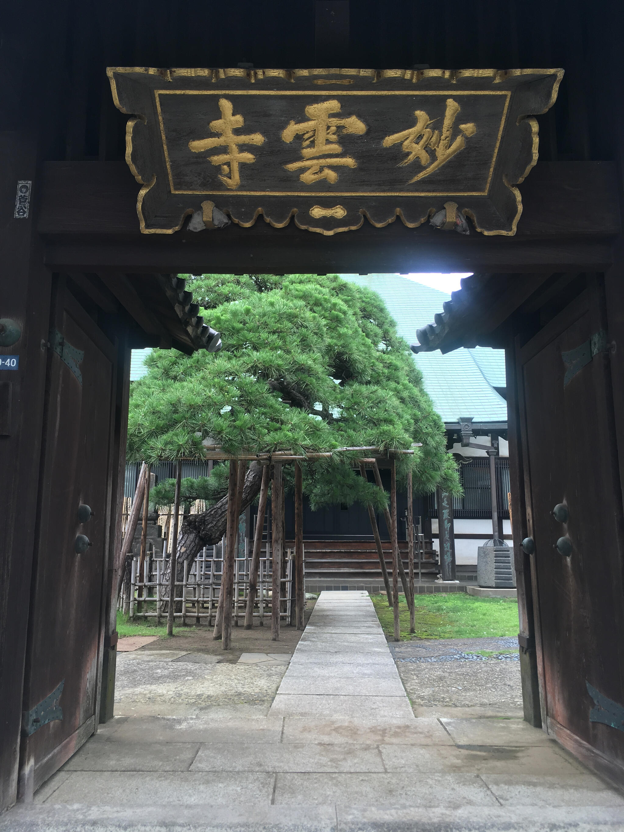 妙雲寺の代表写真2
