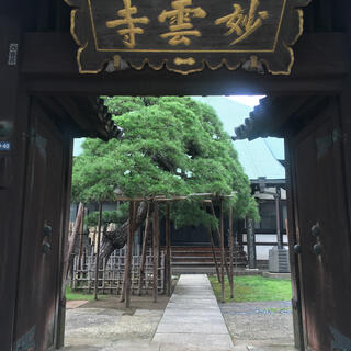妙雲寺の写真2