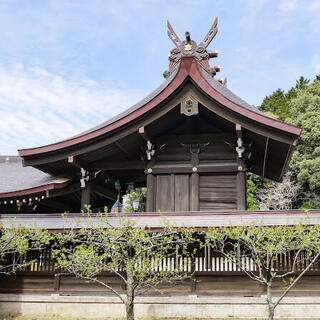 橘神社の写真6