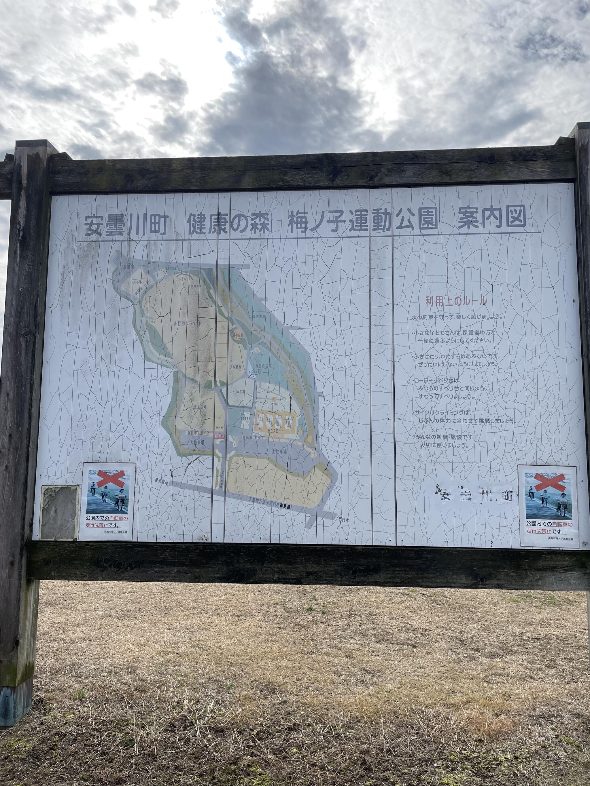 高島市立 健康の森梅ノ子運動公園の代表写真3