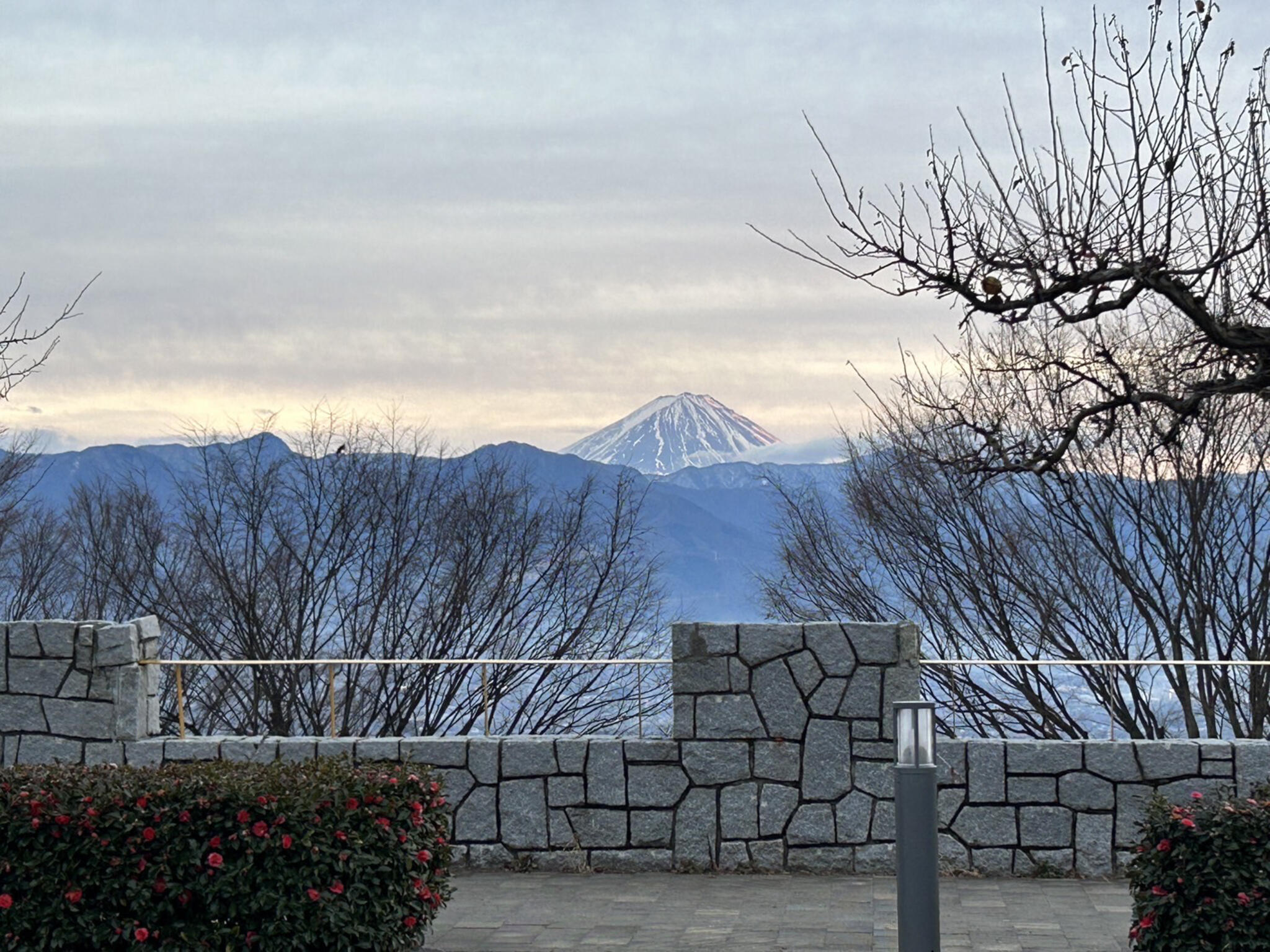 山梨FUJIフルーツパークの代表写真2