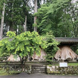 宇奈岐日女神社のクチコミ写真2