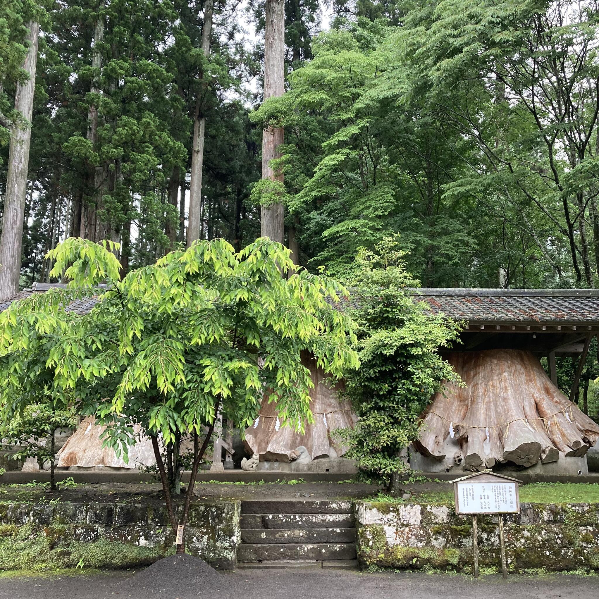 宇奈岐日女神社の代表写真7